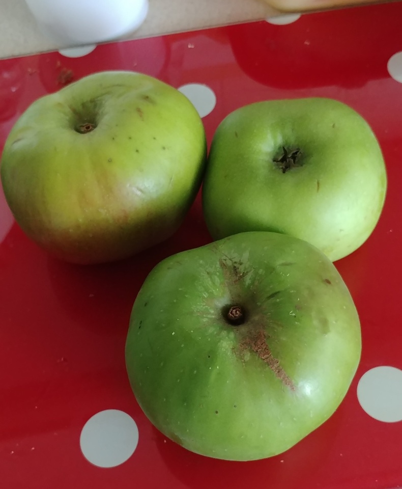 bramley-baking-apples-jackymt-blipfoto