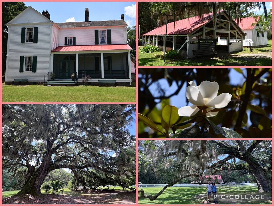 Hofwyl Broadfield Plantation | turnx3 | Blipfoto