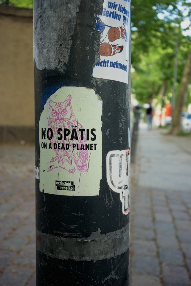 no spätis | magi