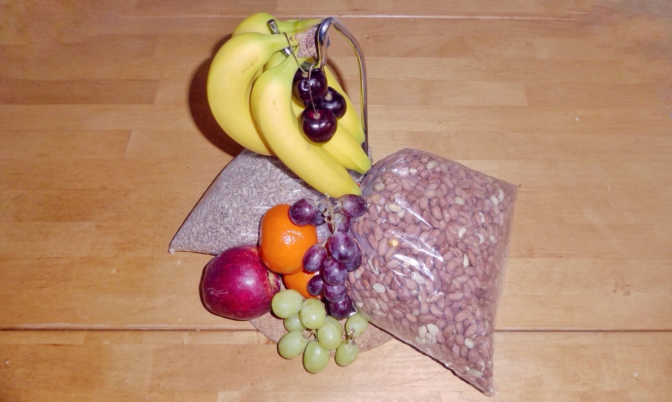 Everyone's a fruit and nut case... Meconopsisblue Blipfoto