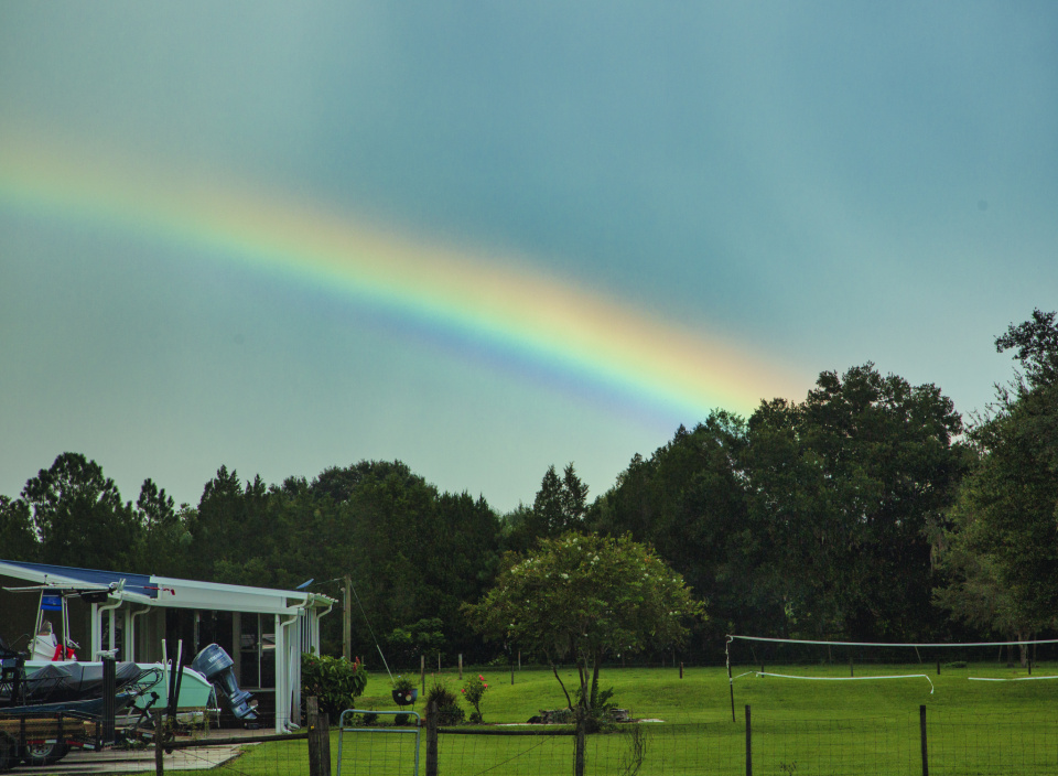 unexpected-bugsman-blipfoto