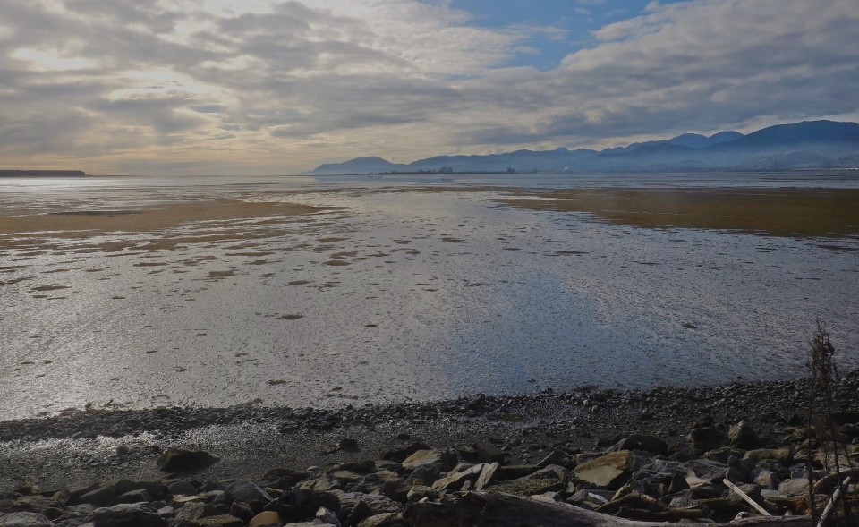 high-tide-or-low-tide-bob-marley-v1k1-blipfoto