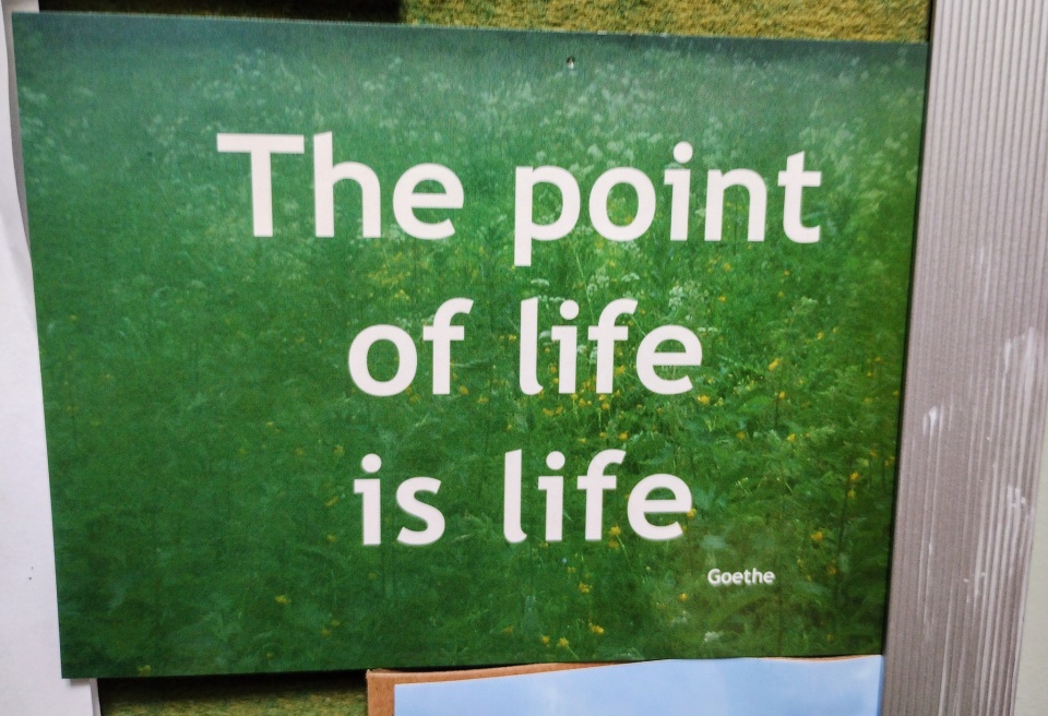 Good to be reminded | woodpeckers | Blipfoto