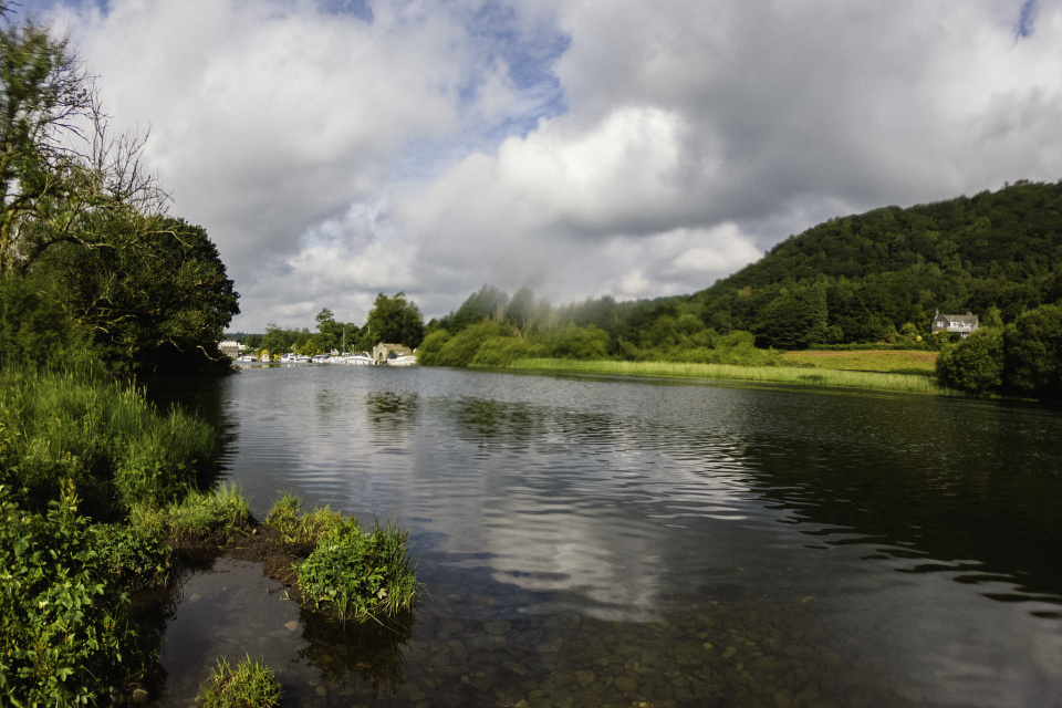 River Leven | Puffin | Blipfoto