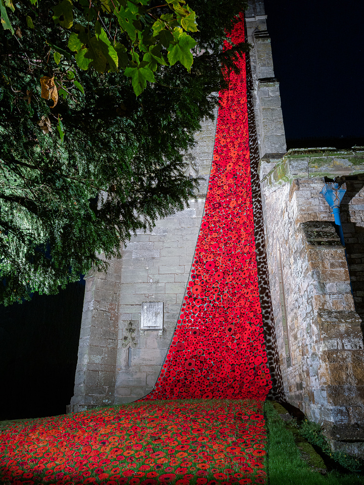 poppy-cascade-2-steveng-blipfoto