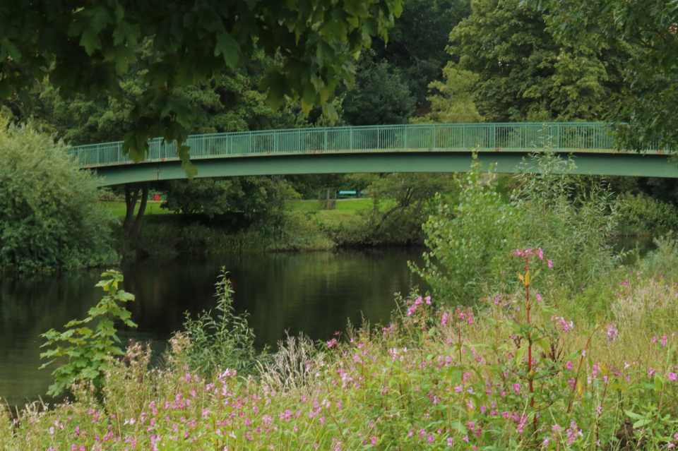 Walking to Wetherby | Gibbsangie | Blipfoto