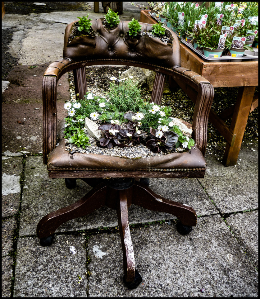 Garden Chair - or - Chair Garden | ForthPorts | Blipfoto