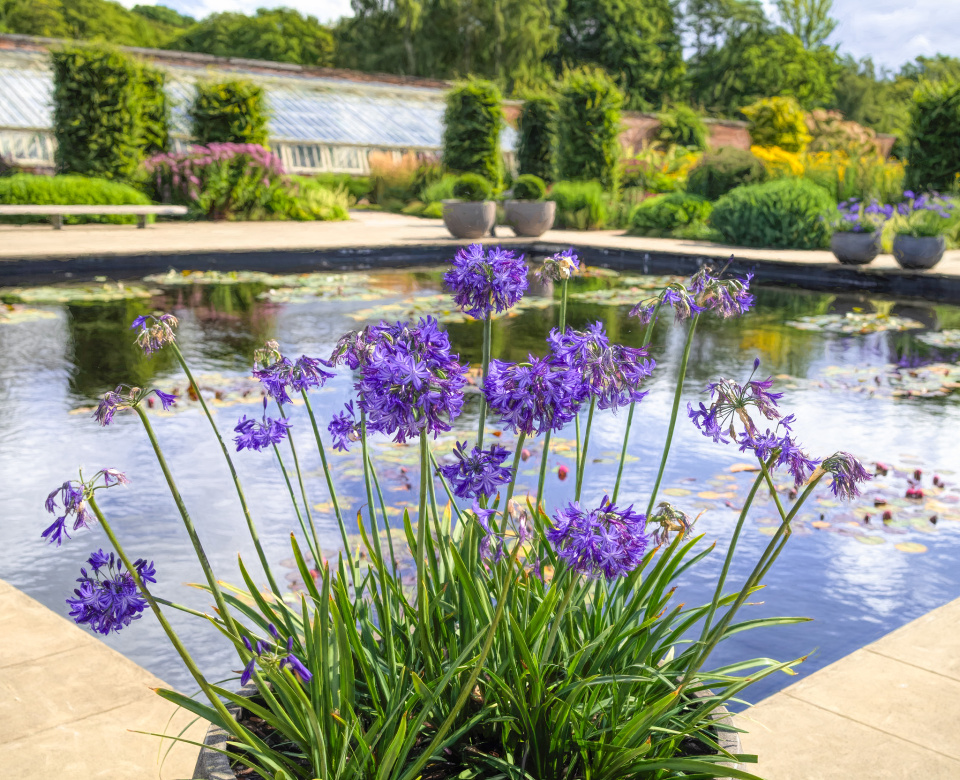 paradise-garden-green56-blipfoto