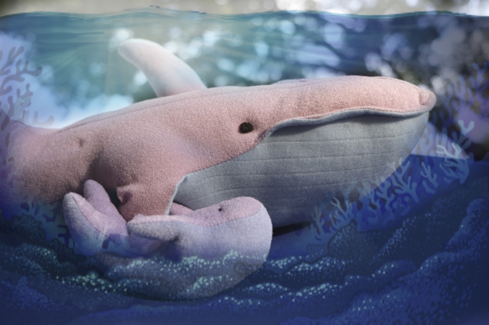 oh wait, whales have live births | Energia | Blipfoto