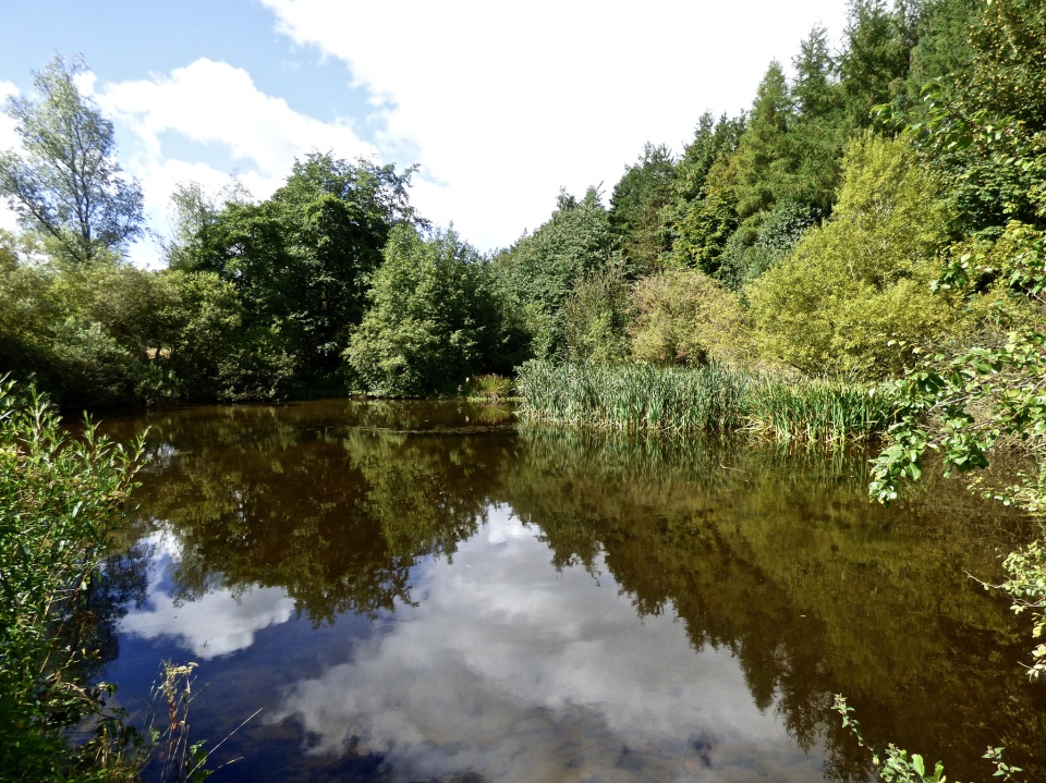 Wooler Common seizetheday Blipfoto