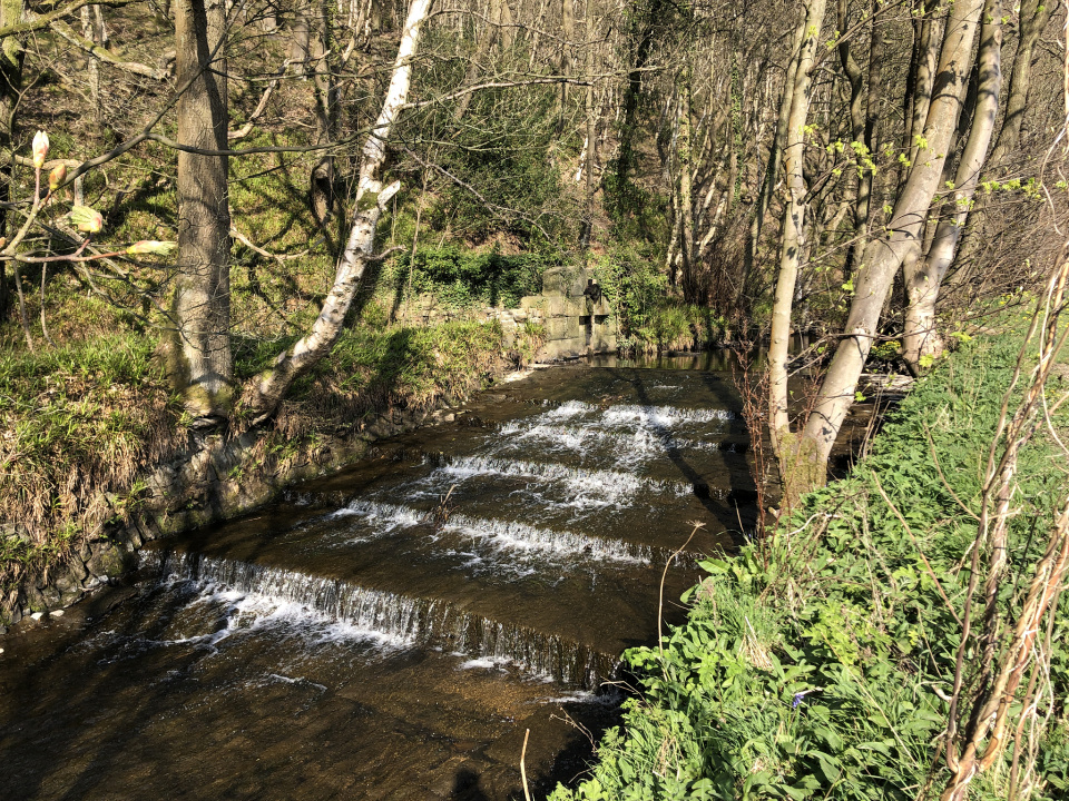 Black Brook | ROBERT10 | Blipfoto