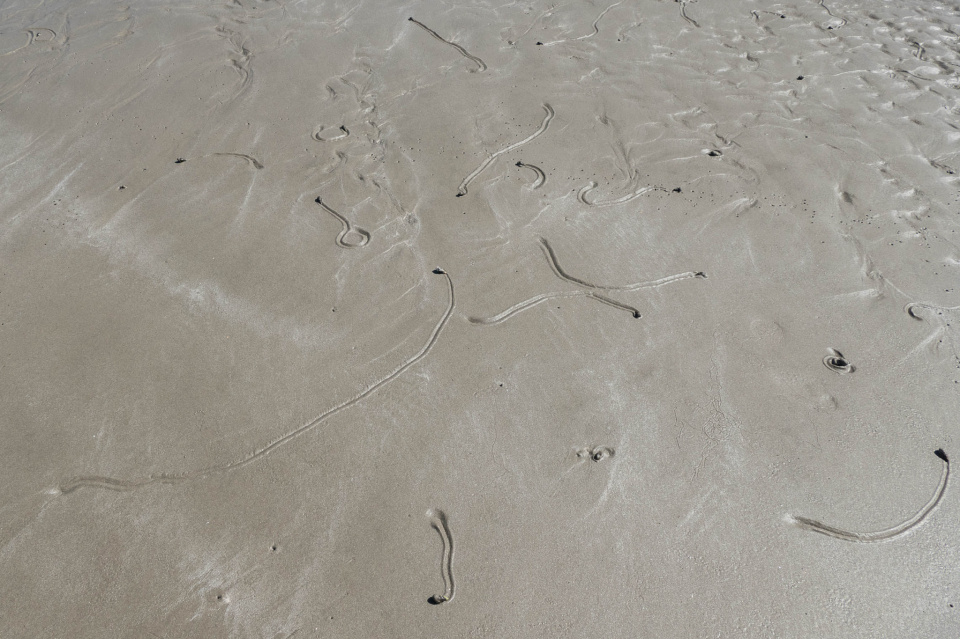 Snail Trails rsdphotography Blipfoto