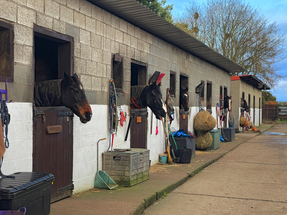 Where's my food? StuartDB Blipfoto