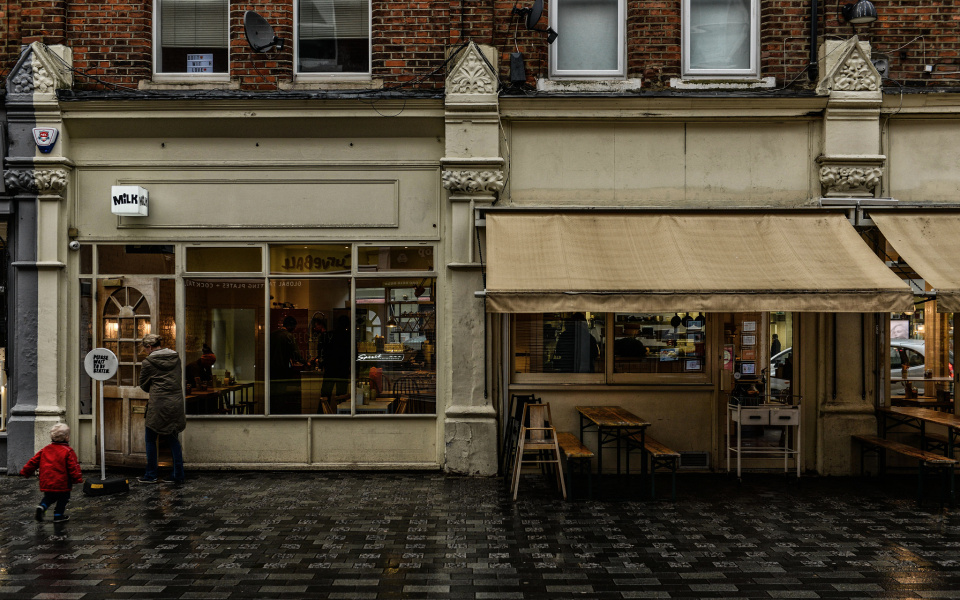 Hildreth Street "Did someone say Milk?" Chamaeleo Blipfoto