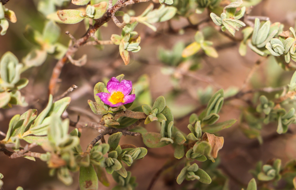 Is Bible Good To Read Is Bible Good To Read