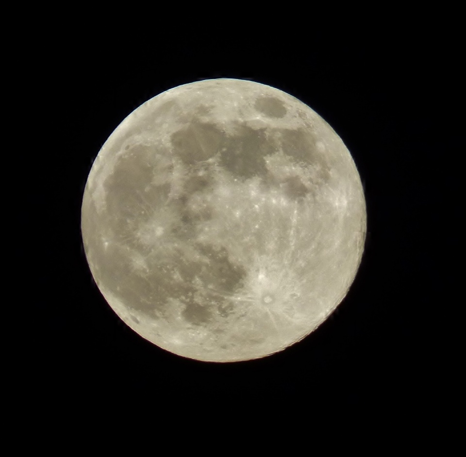 Full Moon | monkey | Blipfoto