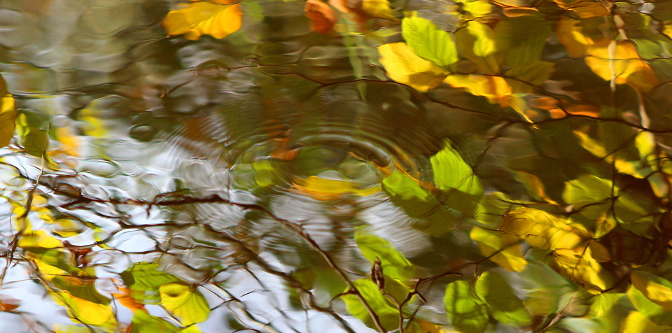 Ripple Effect | theBroon | Blipfoto