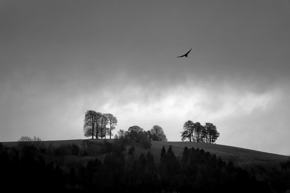 The New Landed Gentry BobsBlips Blipfoto