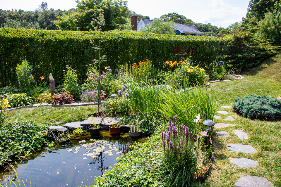 A garden tour kathyh58 blipfoto
