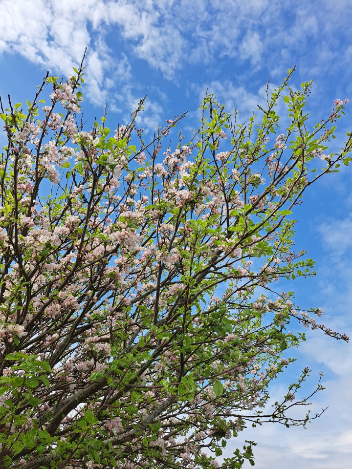 Concle walk | Cumbrialass | Blipfoto