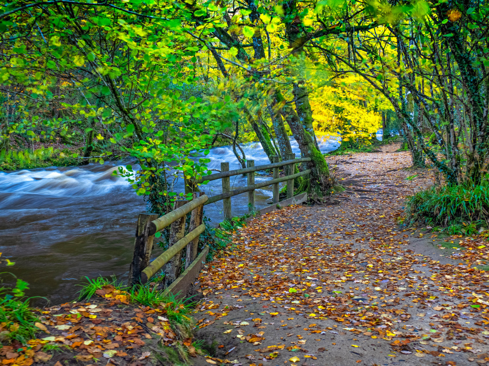 Dunsford in Autumn RockArea Blipfoto
