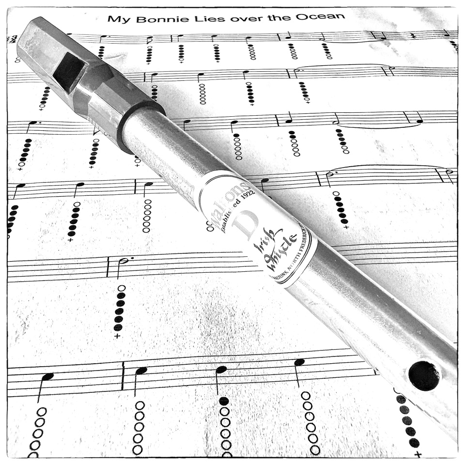 A penny whistle... 60plus Blipfoto