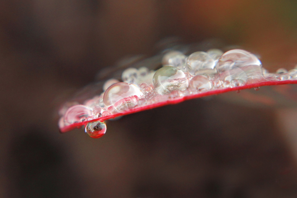 Hanging On Rainie Blipfoto