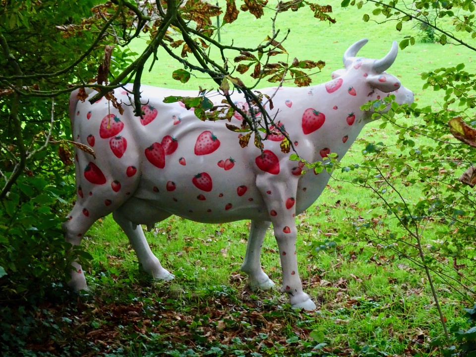 strawberry cow